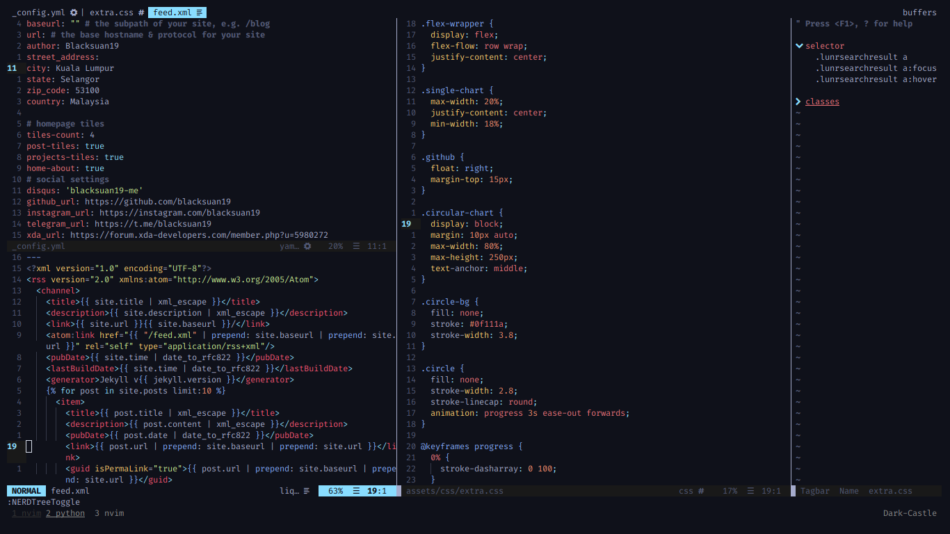 Setting up nvim as an IDE